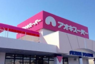アオキスーパー八田店（約860m・徒歩11分）