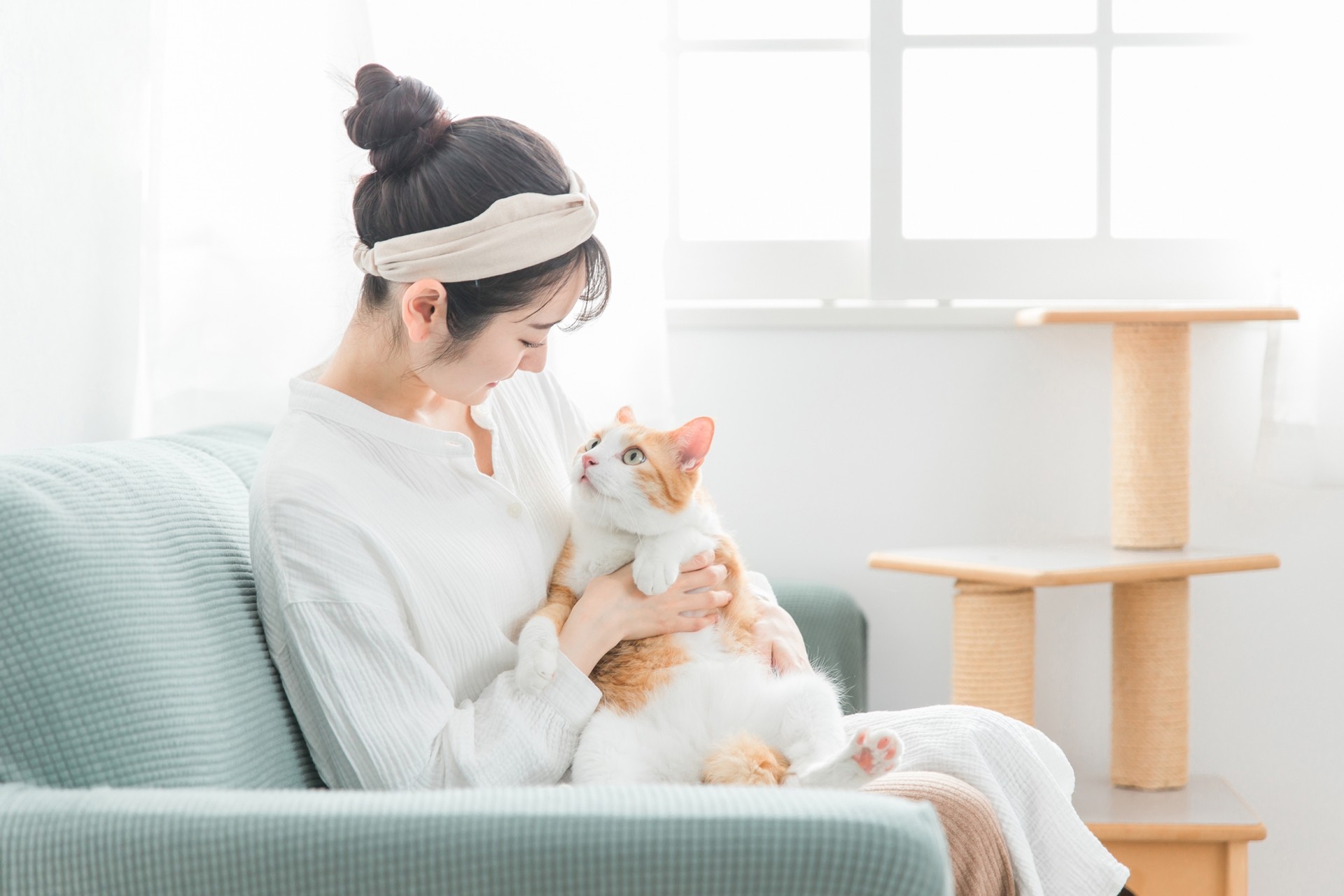 ペットは大切な家族！知立市で見つける愛犬と快適に暮らせる分譲住宅