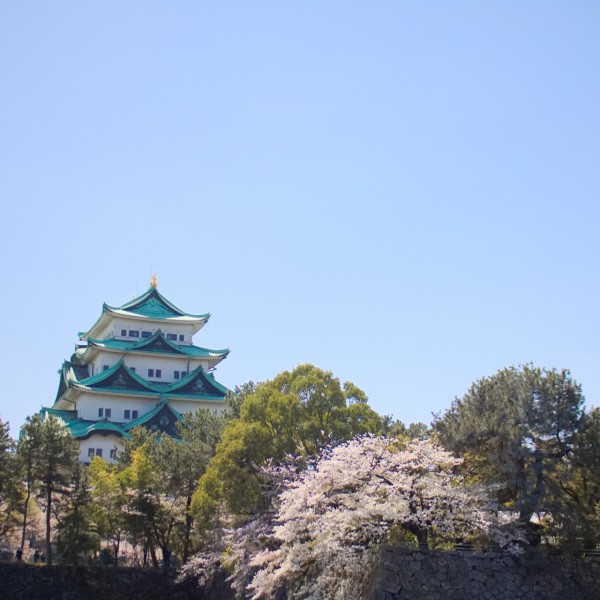 愛知県の建売・分譲住宅エリアと周辺のレジャースポット
