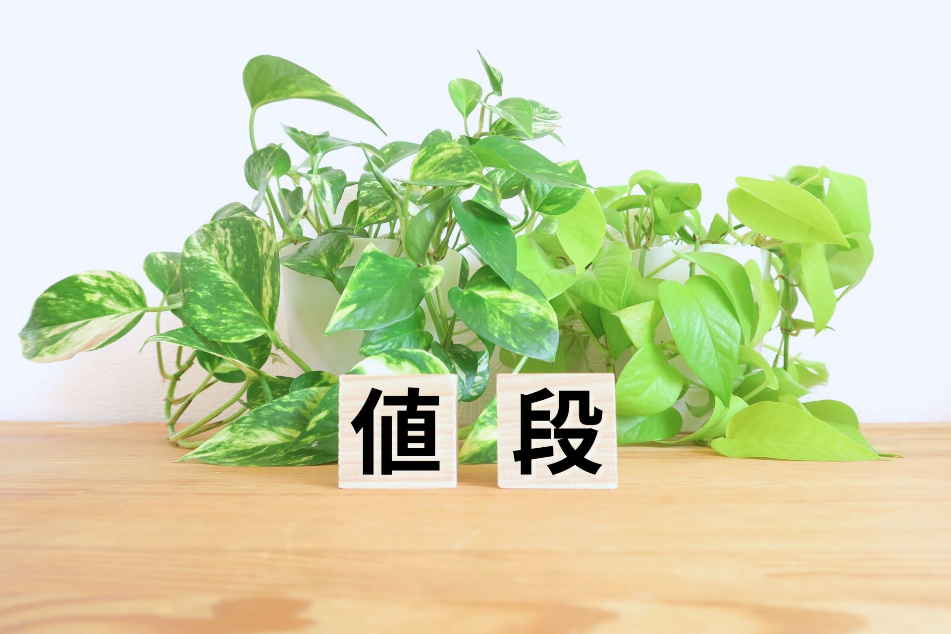 価格面での比較とコストの違い