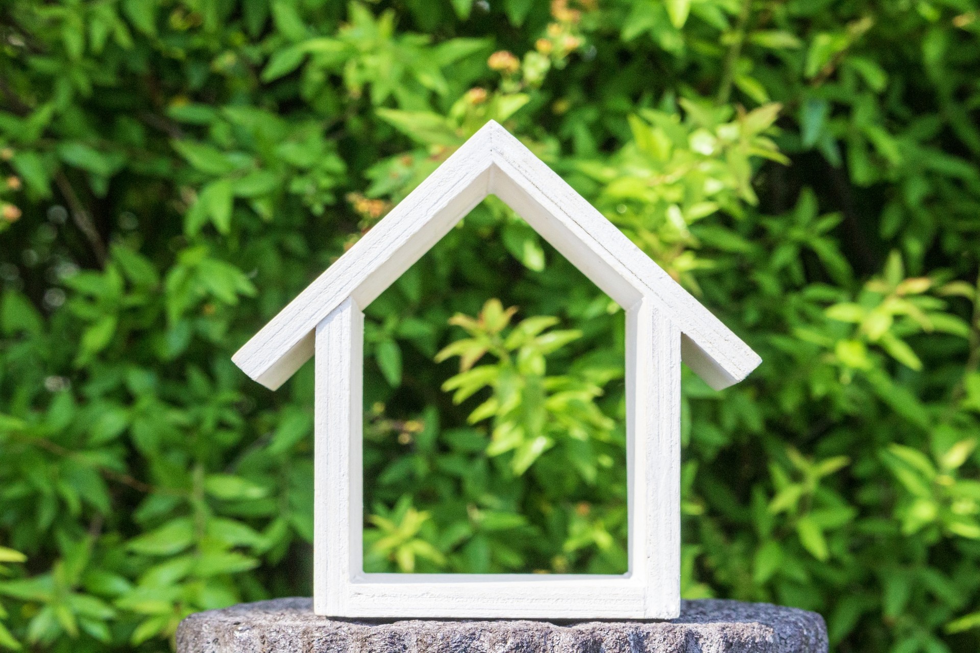 小牧市の風通しを活かした分譲住宅の自然換気と窓レイアウト