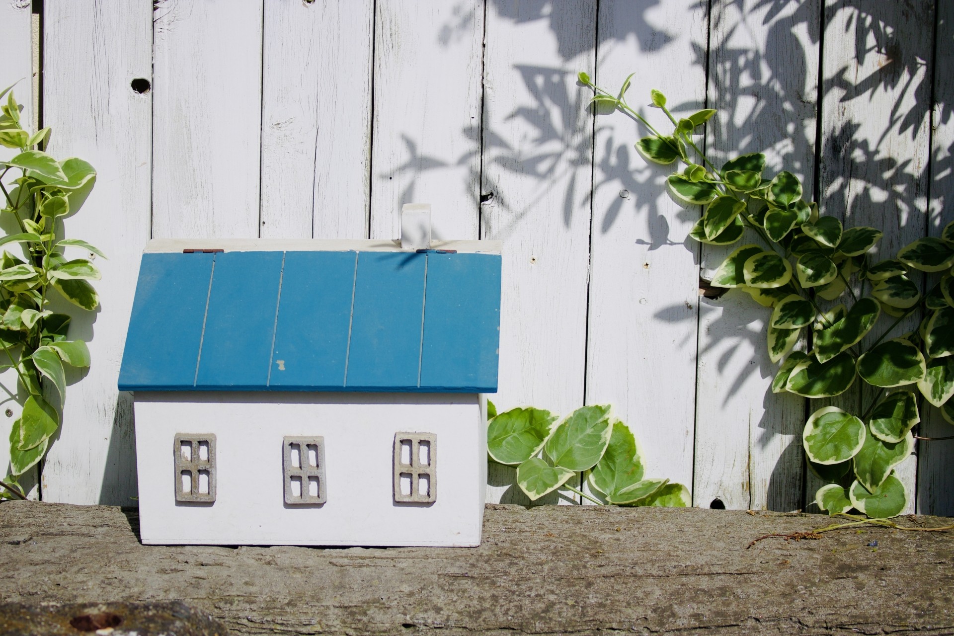 愛知で探す、自然を感じる暮らしのできる建売・分譲住宅