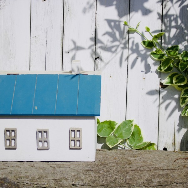 愛知で探す、自然を感じる暮らしのできる建売・分譲住宅