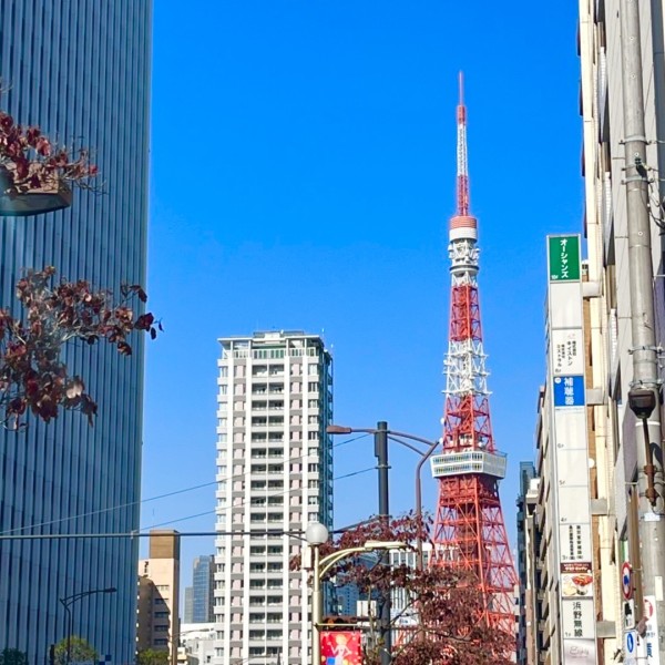 東京での建売・分譲住宅購入前に確認すべき近隣施設と環境