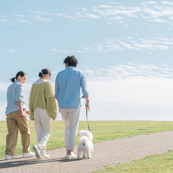 愛知県で見つける、家族にぴったりの建売・分譲住宅探しの秘訣