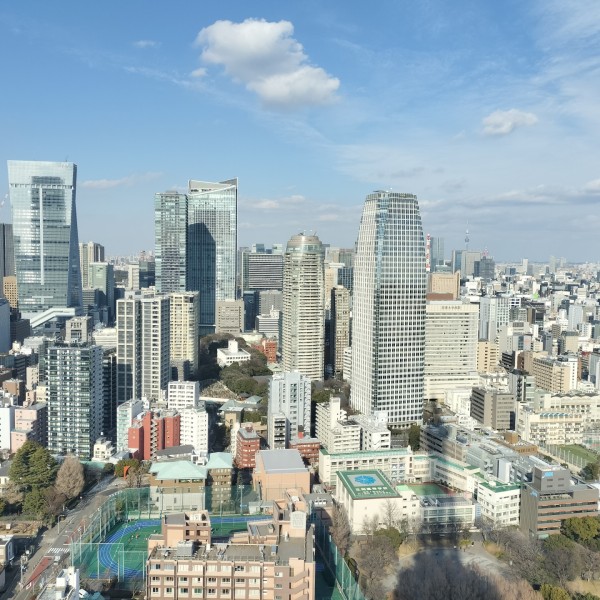 東京都内で建売・分譲住宅を選ぶ際の、地域の教育環境チェック