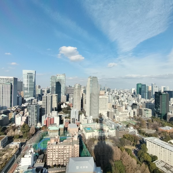 東京で建売・分譲住宅を選ぶ、緑豊かな住まいの条件