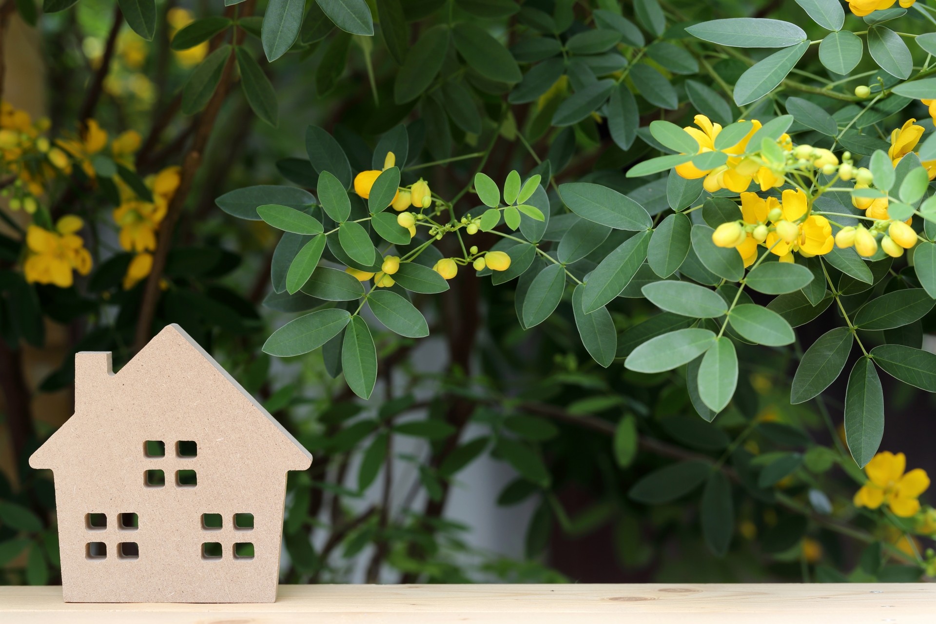 愛知県の分譲住宅ガイド、住みやすい名古屋の街を選ぶポイント