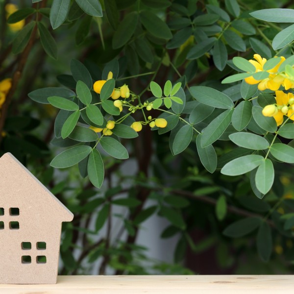 愛知県の分譲住宅ガイド、住みやすい名古屋の街を選ぶポイント