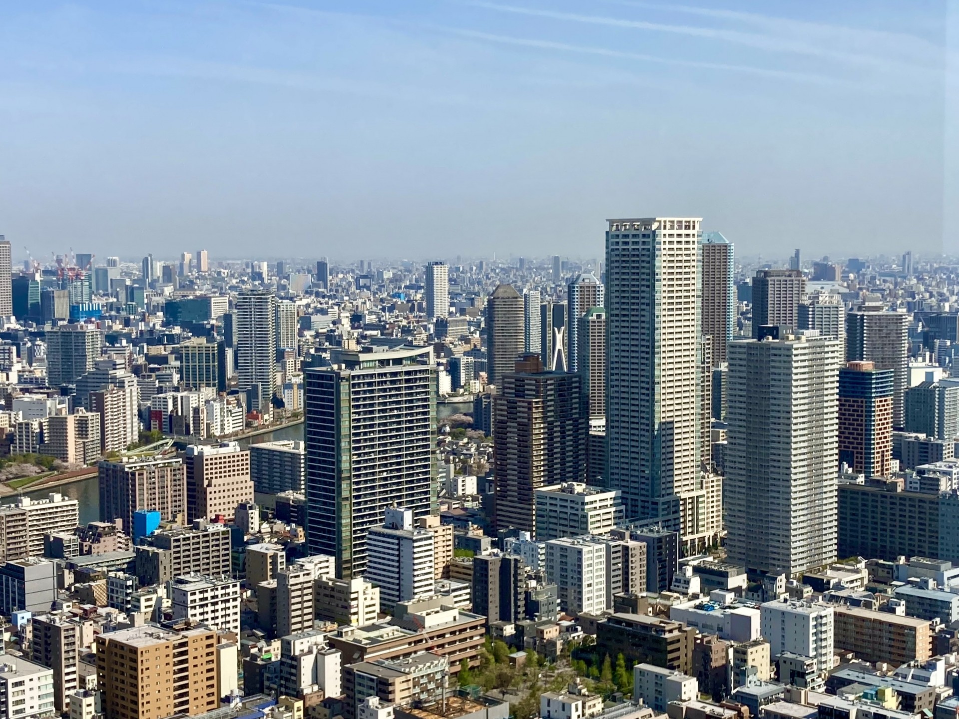 東京でアウトドアを楽しむ!庭付き分譲住宅の選び方
