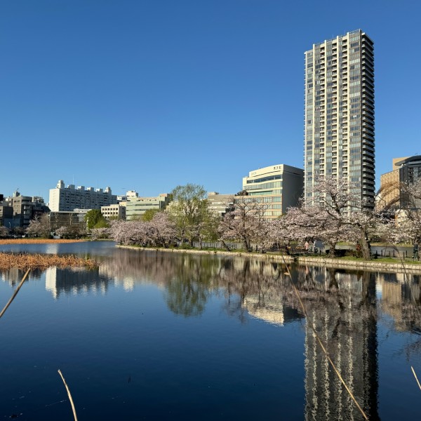 東京都内でエネルギー自給自足！太陽光発電付きの分譲住宅
