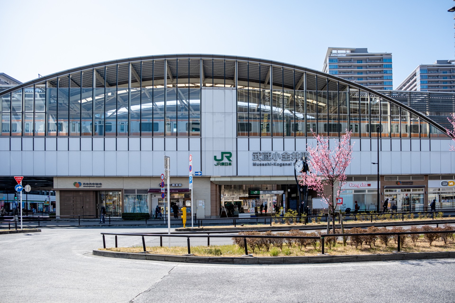 小金井市で緑豊かな住環境が魅力の分譲住宅エリアはどこ?選び方のポイント解説