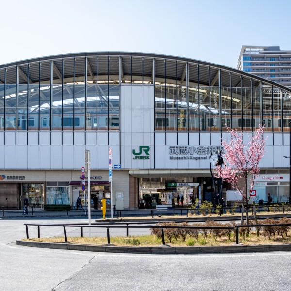 小金井市で緑豊かな住環境が魅力の分譲住宅エリアはどこ？選び方のポイント解説