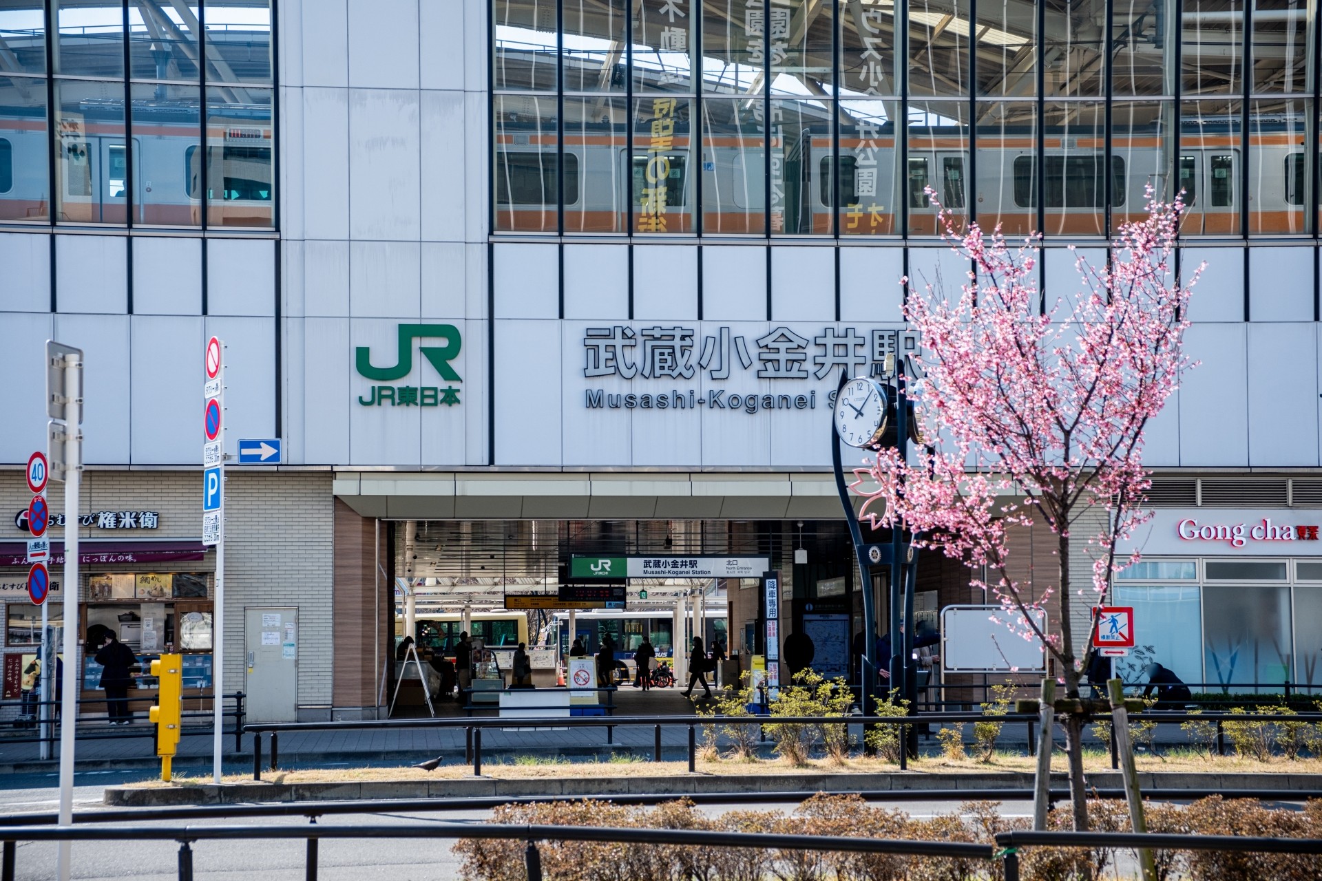 【東京】小金井市の魅力と子育て環境についてご紹介します