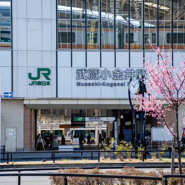 【東京】小金井市の魅力と子育て環境についてご紹介します