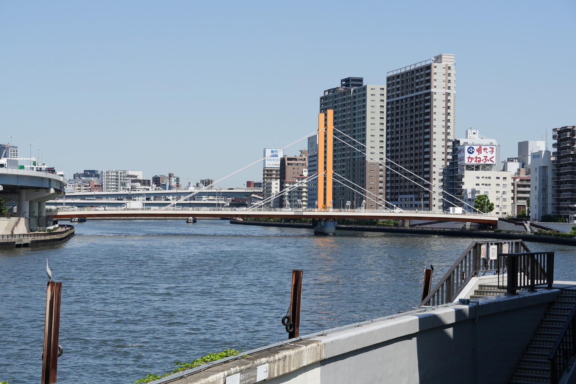 東京の隠れた魅力!穴場エリアの建売・分譲住宅を探すコツ