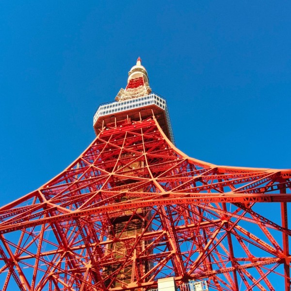 東京で見つける理想の分譲住宅、家族にぴったりの住まい