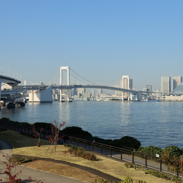 東京で快適な暮らしを実現！最新の建売・分譲住宅特集
