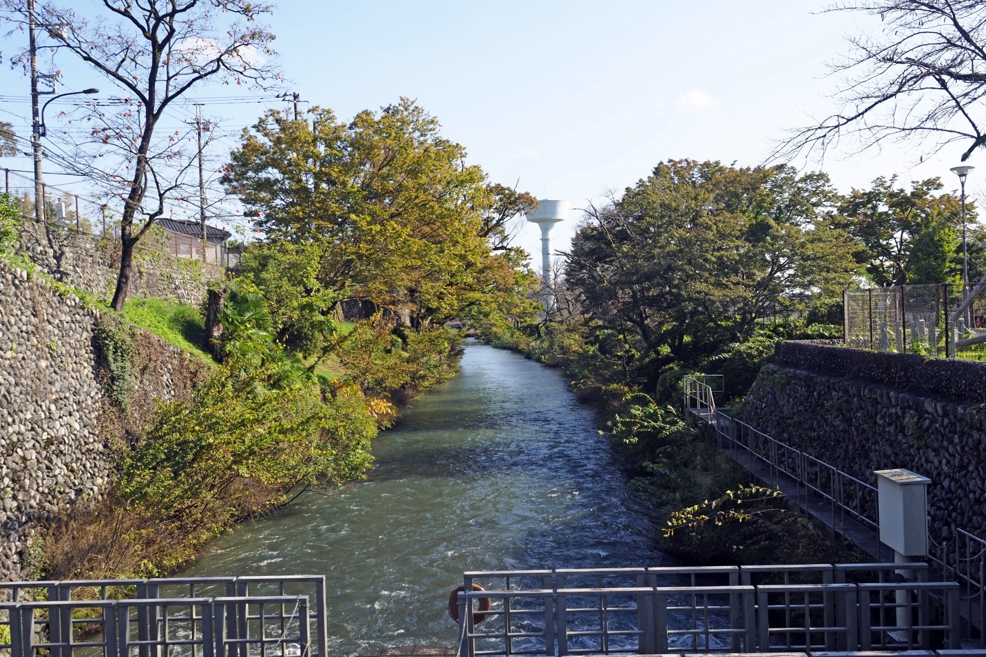 玉川上水沿いの自然を感じる暮らし