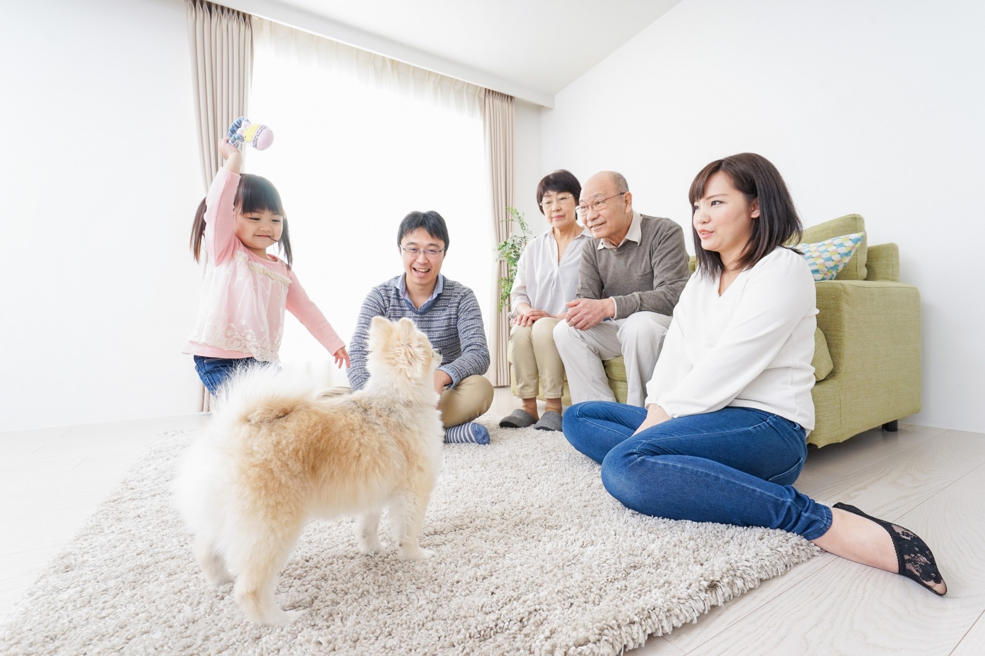 【まとめ】府中市でペットと快適に暮らすための住宅選び
