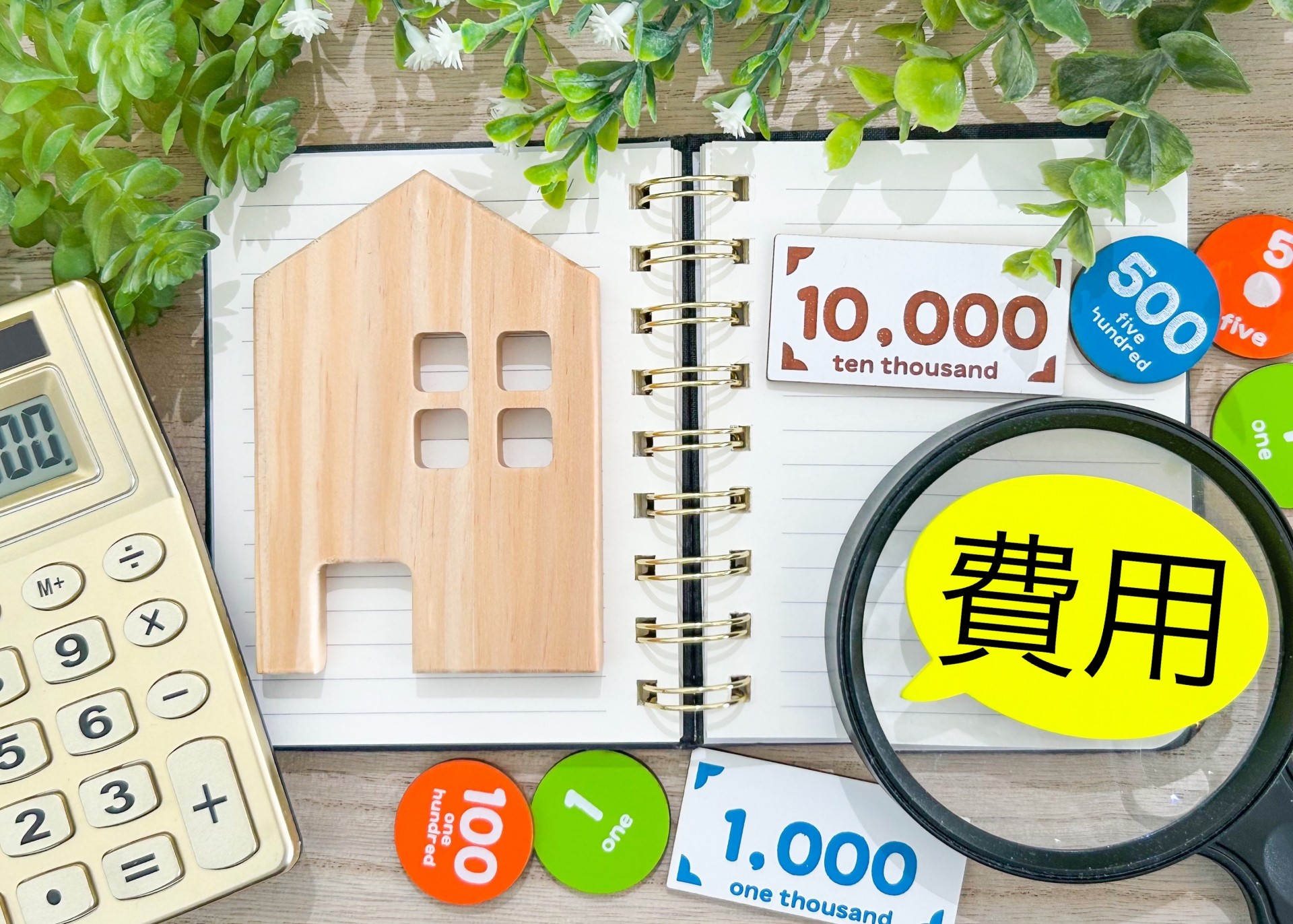 価格変動の要因と今後の見通し