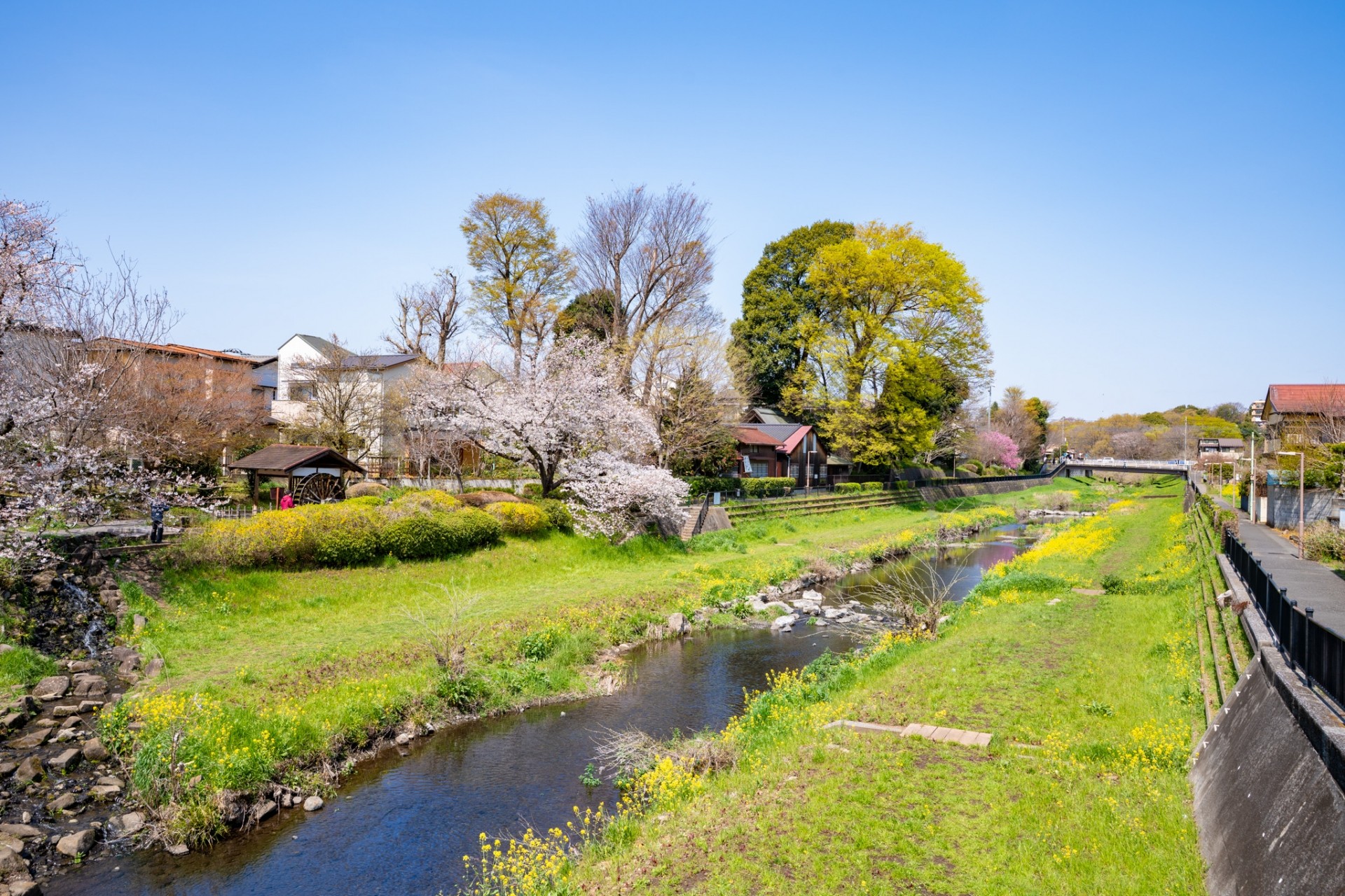 野川公園周辺の静かな住宅地