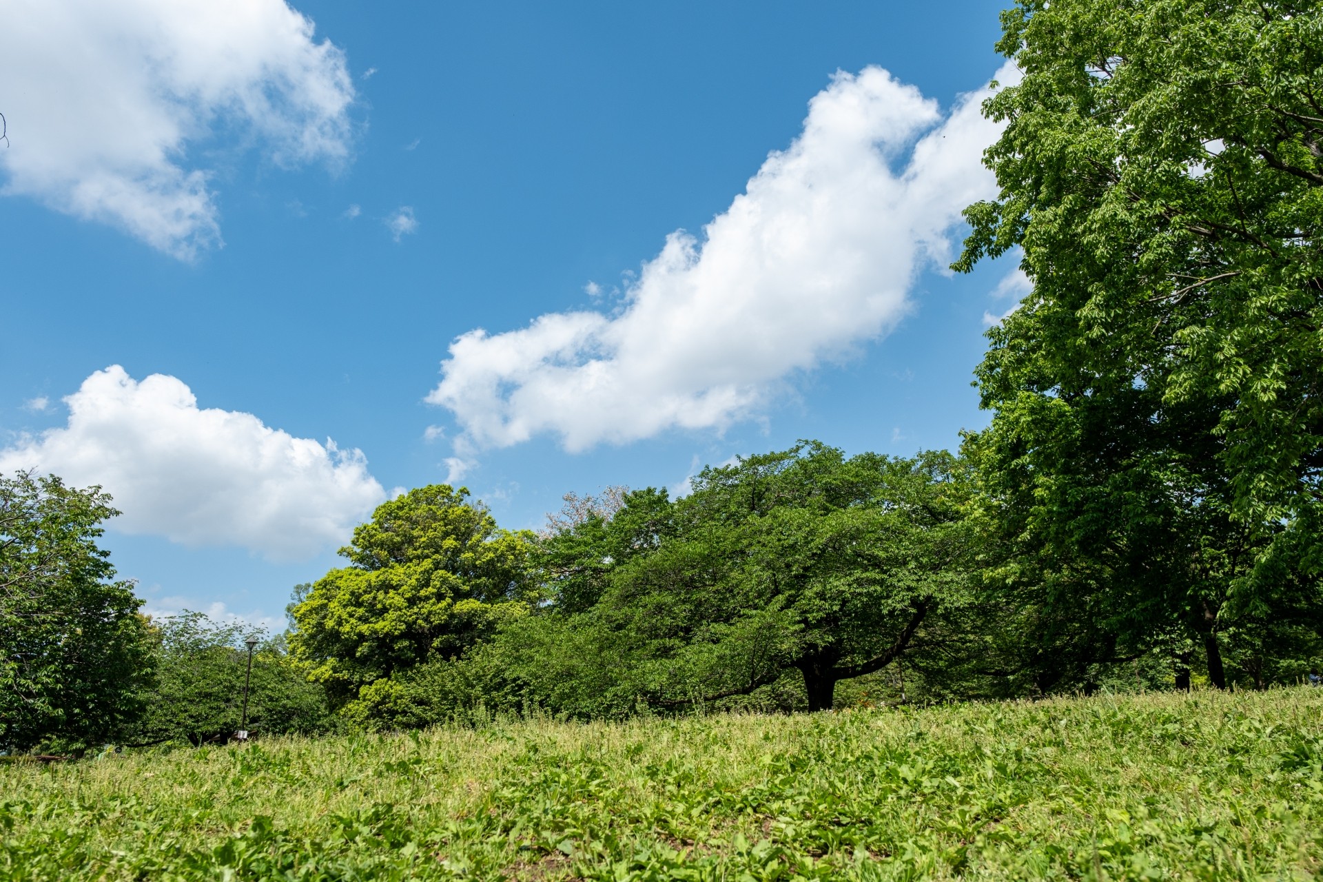 緑と文化が調和した暮らしやすい住環境