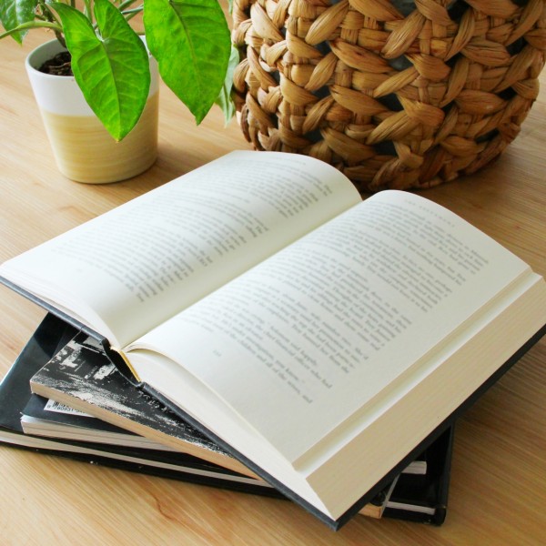 武蔵野市の分譲住宅で意識したい、読書や作業がはかどる窓際空間のつくり方