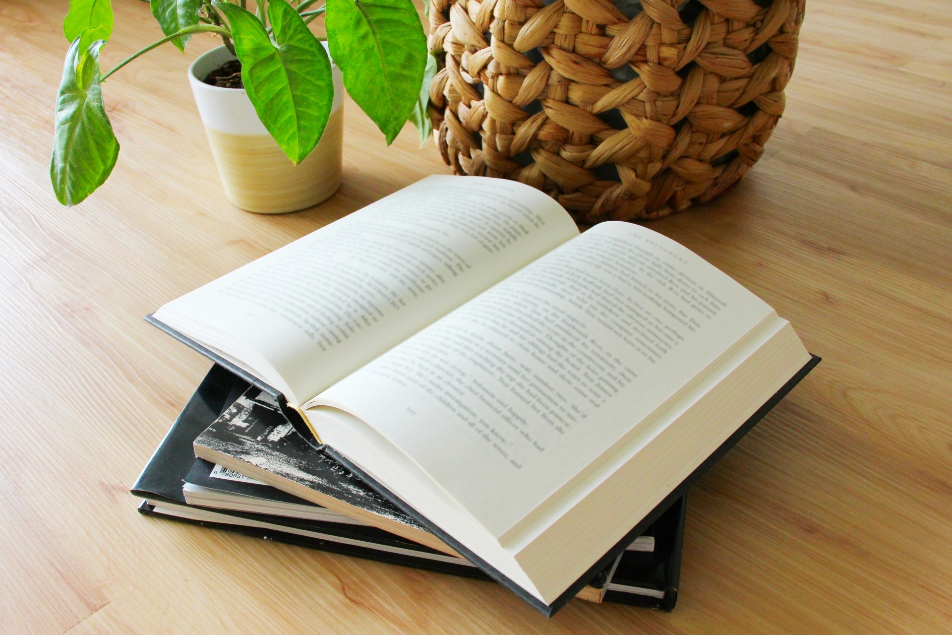 武蔵野市の分譲住宅で意識したい、読書や作業がはかどる窓際空間のつくり方