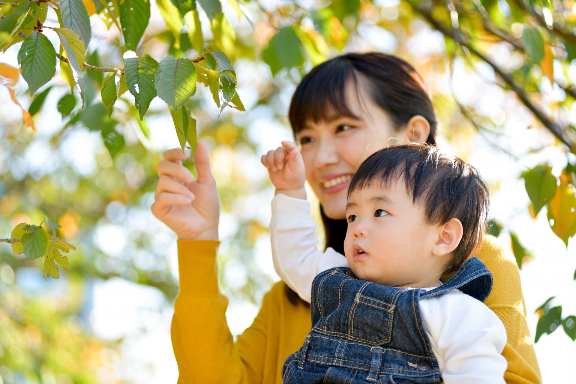 立川市で子育て世帯におすすめの分譲住宅!学区や公園の近さで選ぶ方法