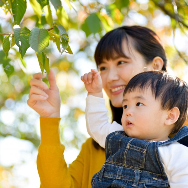 立川市で子育て世帯におすすめの分譲住宅！学区や公園の近さで選ぶ方法